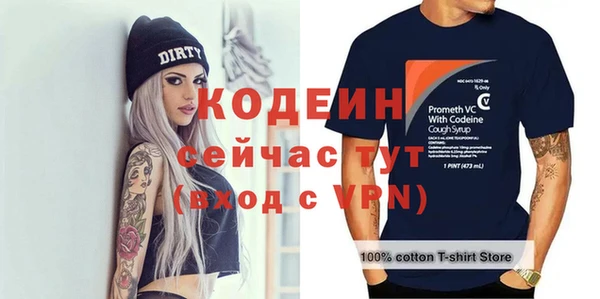 молекула духа Весьегонск