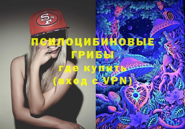 бошки Новокубанск