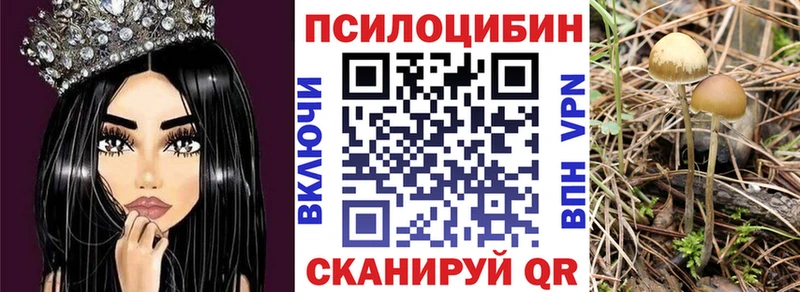 Псилоцибиновые грибы GOLDEN TEACHER  блэк спрут   Ипатово  купить наркотики цена 