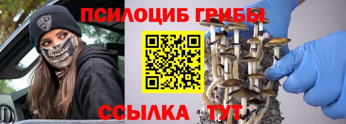 Конопля  Гашиш  МЕФ кристаллы  Альфа ПВП СК кристаллы  Метамфетамин  ГАШИШ  Ипатово  КЕТАМИН  КОКАИН  Мефедрон   Лсд 25 